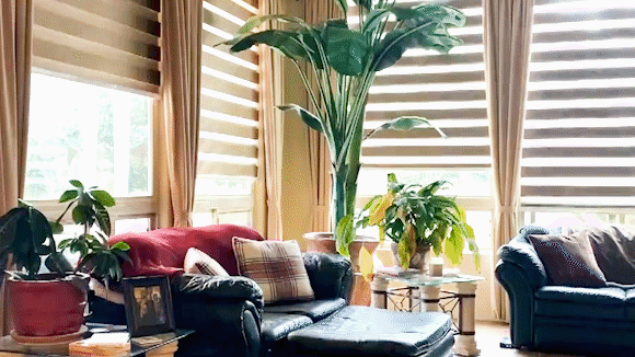 セミオーダー可】最新電動ロールブラインド 全4色ワンタッチ簡単取付